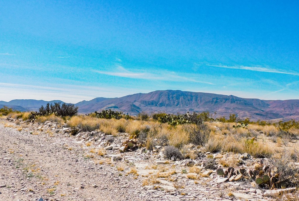 6695 Feldspar St, Terlingua, Texas image 24