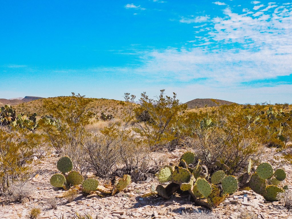 6695 Feldspar St, Terlingua, Texas image 18