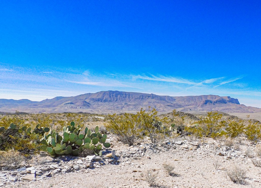 6695 Feldspar St, Terlingua, Texas image 6