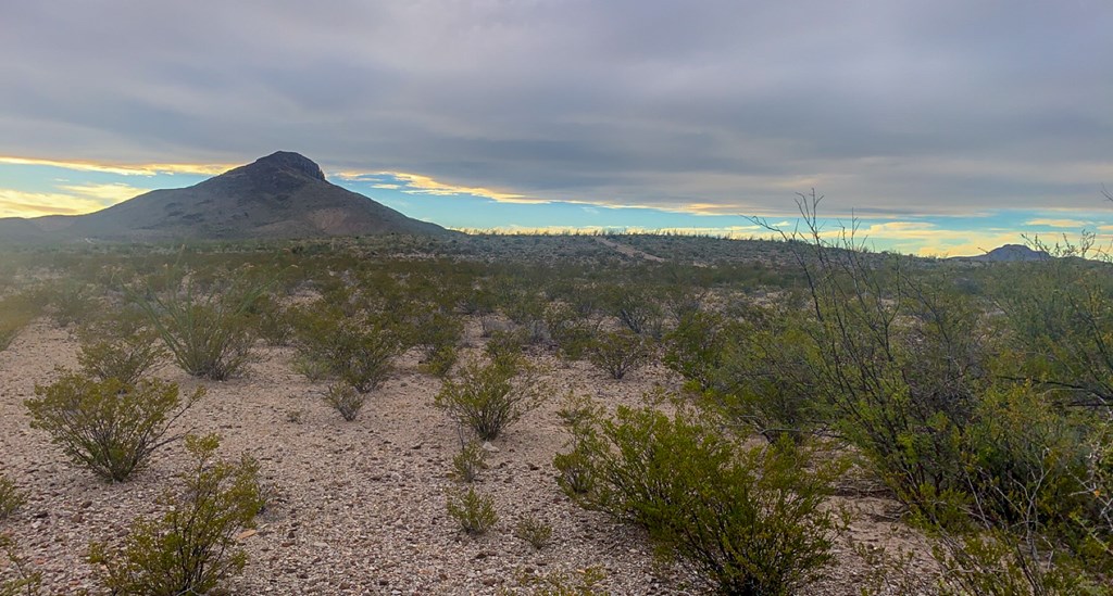 66 Cats Eye Rd, Terlingua, Texas image 2