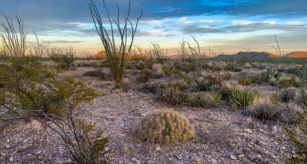 66 Cats Eye Rd, Terlingua, Texas image 7