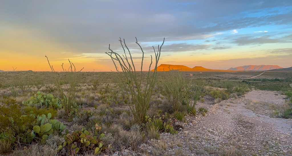 66 Cats Eye Rd, Terlingua, Texas image 9