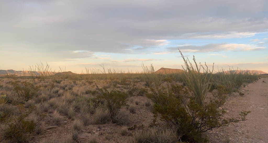 66 Cats Eye Rd, Terlingua, Texas image 15