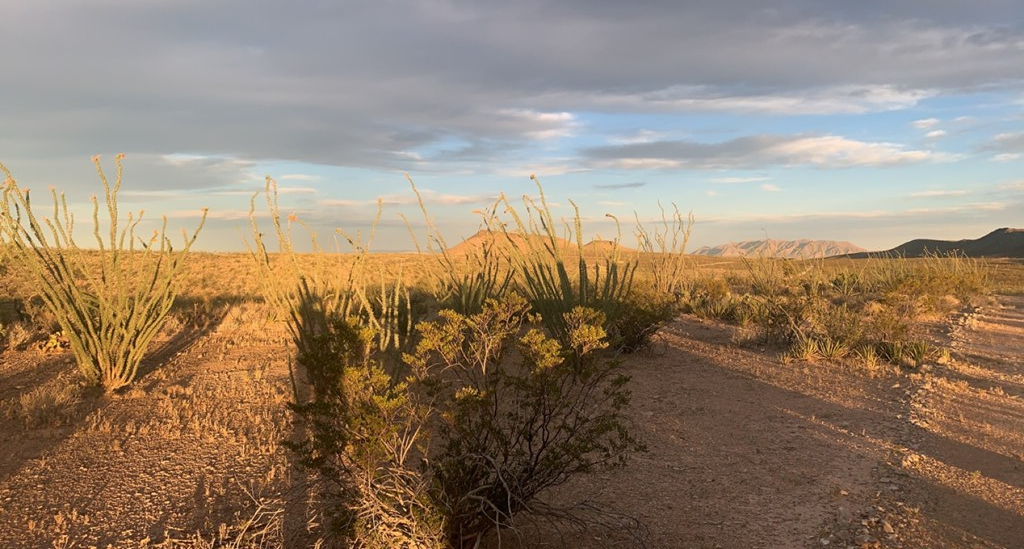 66 Cats Eye Rd, Terlingua, Texas image 14