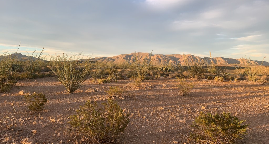 66 Cats Eye Rd, Terlingua, Texas image 12