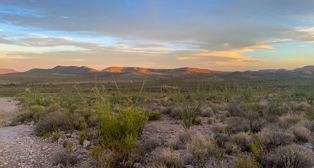 66 Cats Eye Rd, Terlingua, Texas image 8