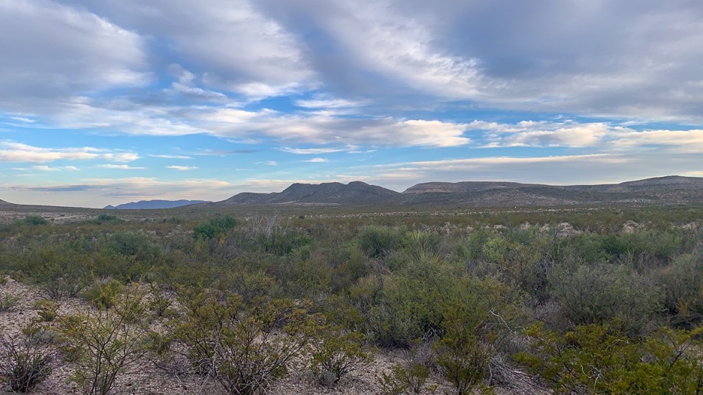 66 Cats Eye Rd, Terlingua, Texas image 3