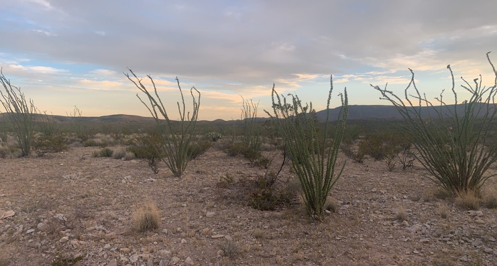 66 Cats Eye Rd, Terlingua, Texas image 17