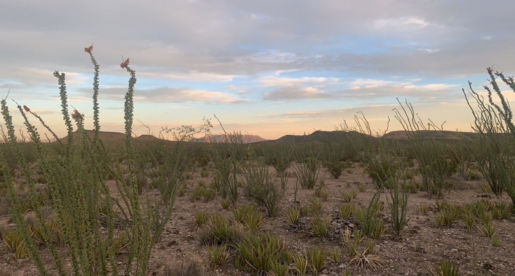 66 Cats Eye Rd, Terlingua, Texas image 19