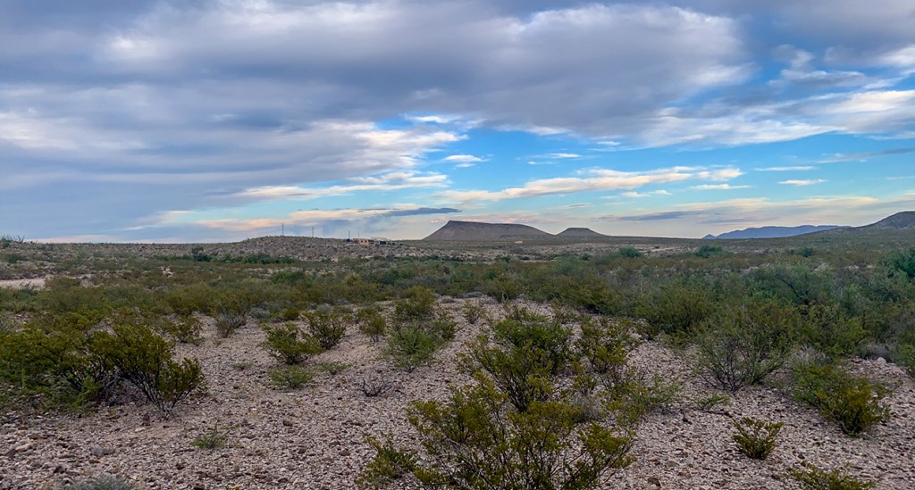 66 Cats Eye Rd, Terlingua, Texas image 4