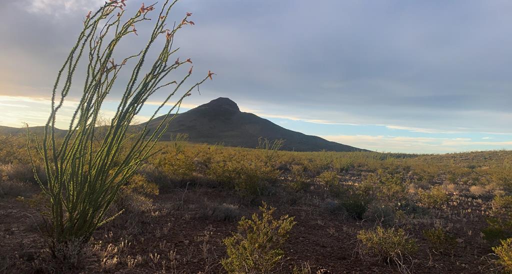 66 Cats Eye Rd, Terlingua, Texas image 1