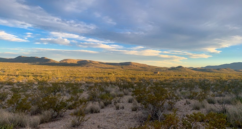 66 Cats Eye Rd, Terlingua, Texas image 6