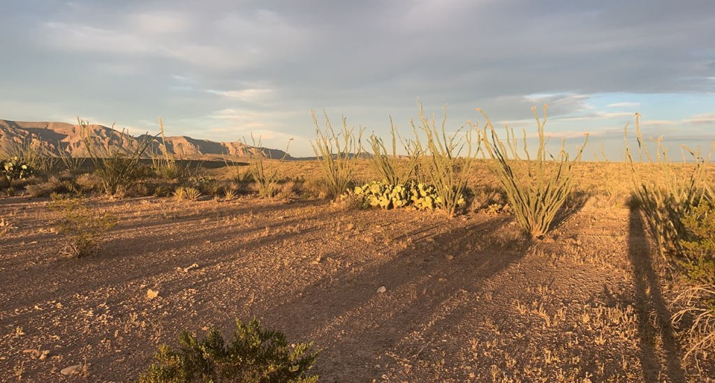 66 Cats Eye Rd, Terlingua, Texas image 13