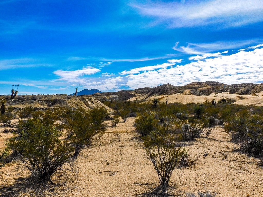 14192 La Luna Rd, Terlingua, Texas image 12