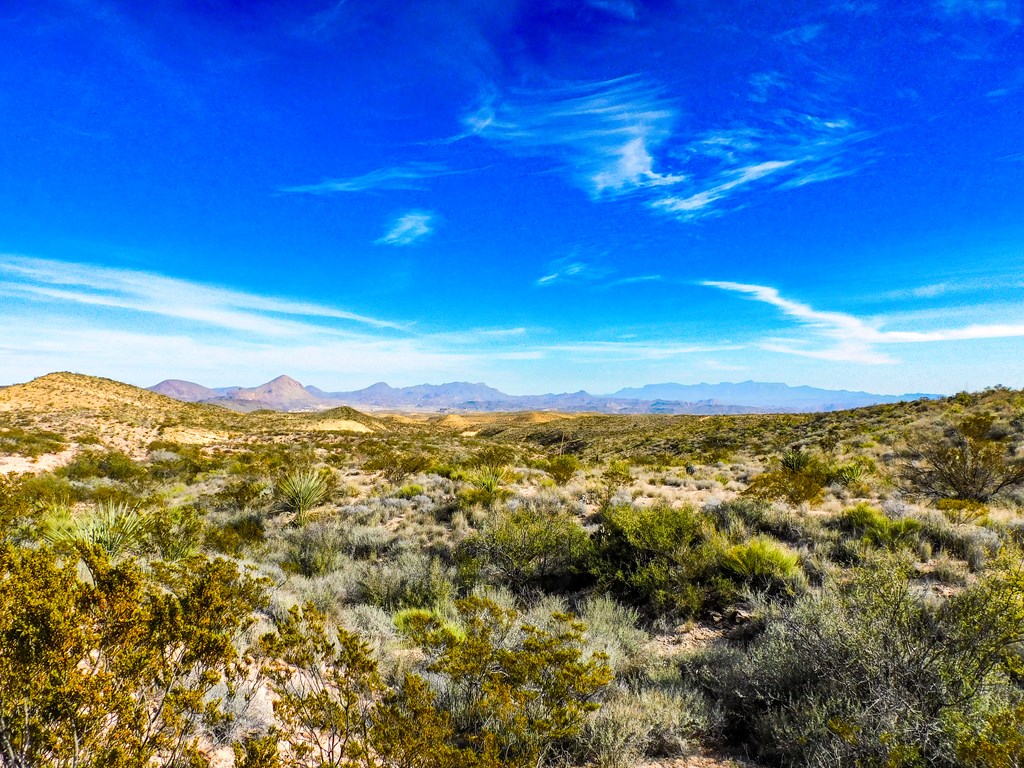 14192 La Luna Rd, Terlingua, Texas image 2