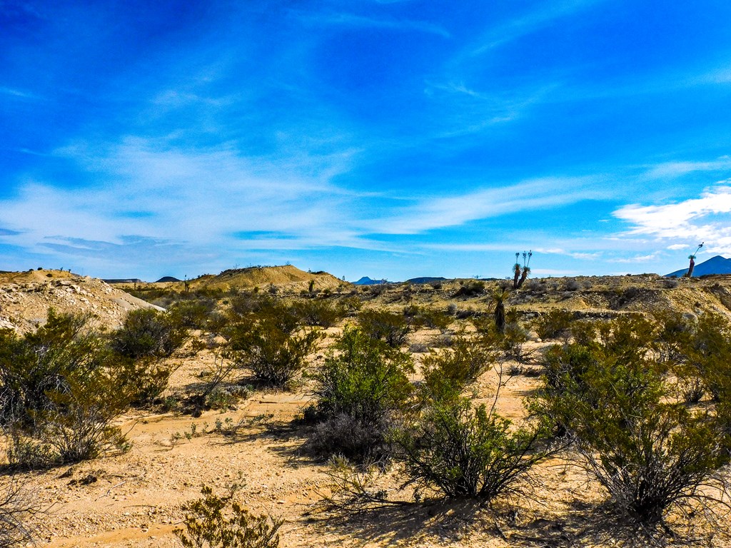 14192 La Luna Rd, Terlingua, Texas image 13