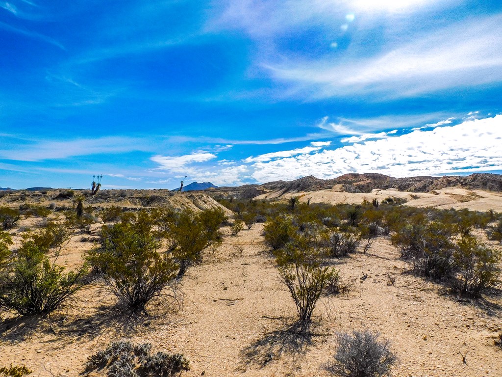 14192 La Luna Rd, Terlingua, Texas image 11