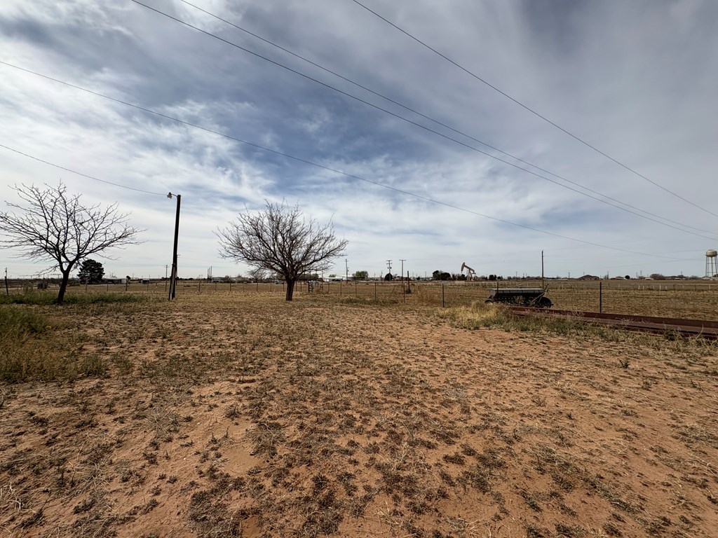5125 Goldenrod Ave, Gardendale, Texas image 16