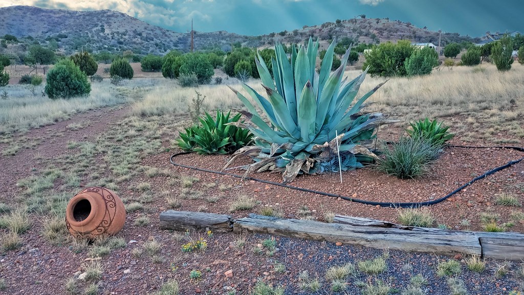 123 Silver Hill Dr, Fort Davis, Texas image 9