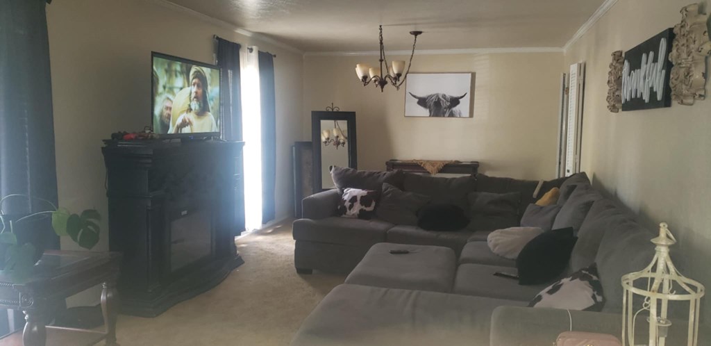 4200 Springdale Dr, Odessa, Texas image 11