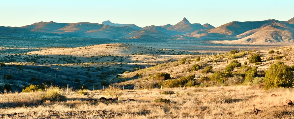 100 High Lonesome, Alpine, Texas image 1