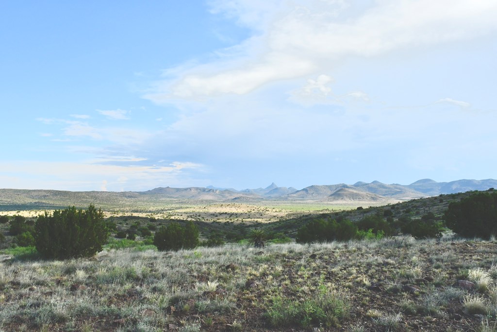 100 High Lonesome, Alpine, Texas image 8