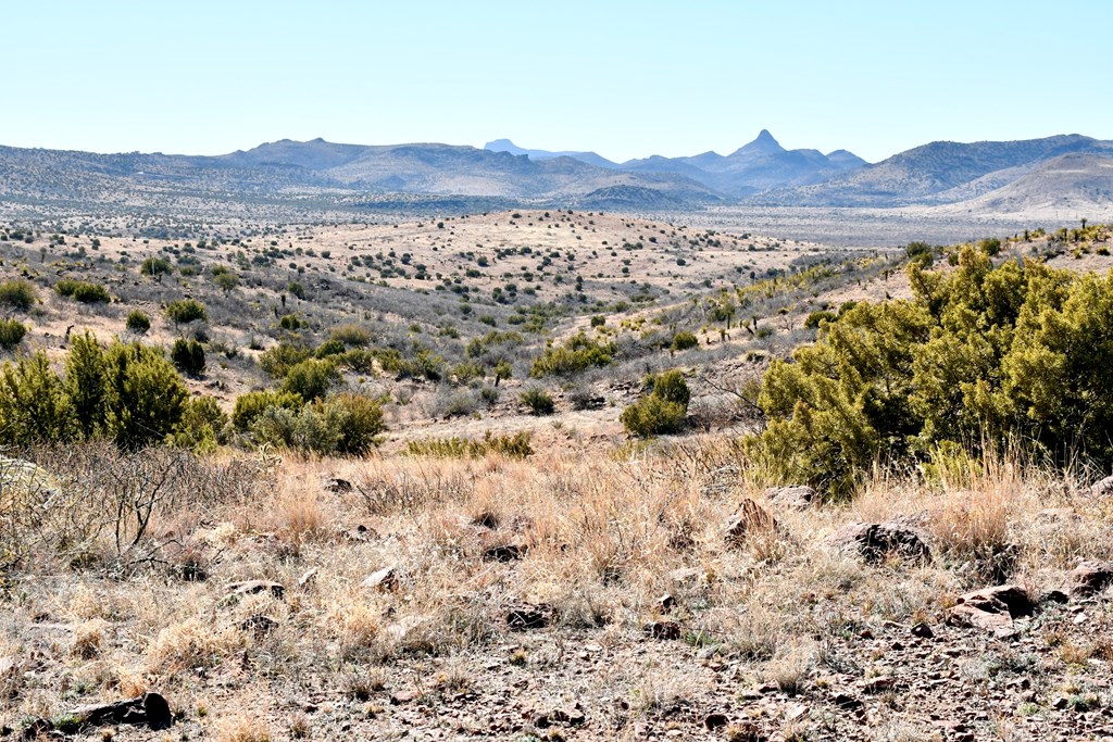 100 High Lonesome, Alpine, Texas image 3