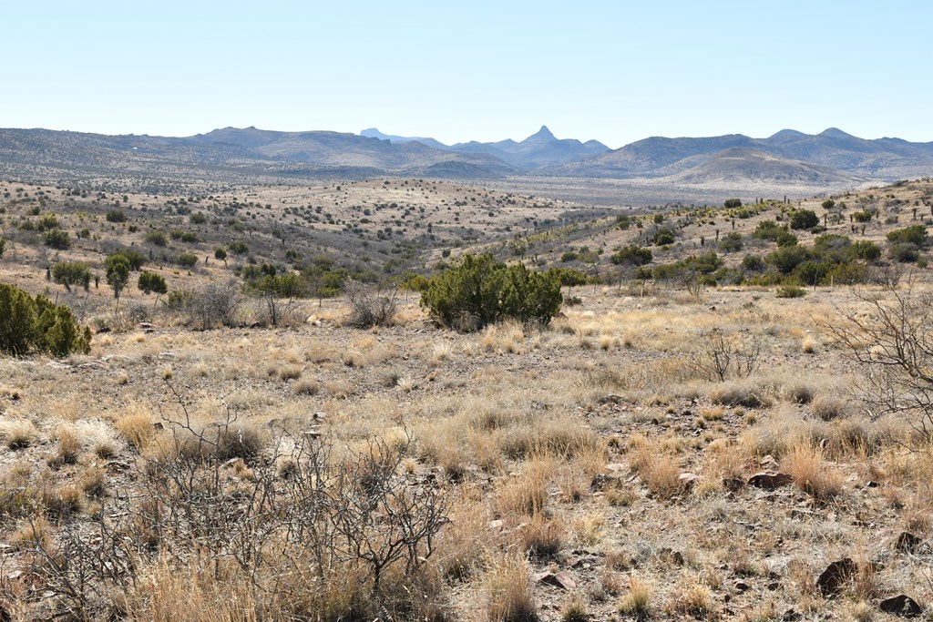 100 High Lonesome, Alpine, Texas image 2