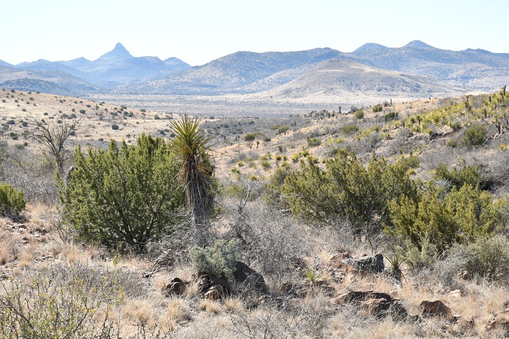 100 High Lonesome, Alpine, Texas image 4