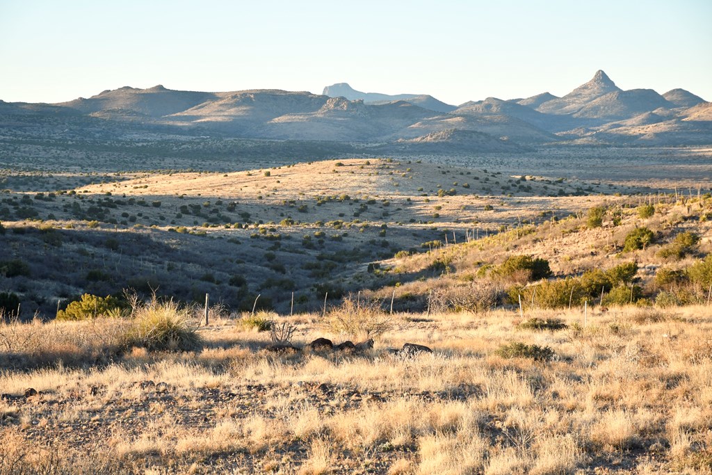 100 High Lonesome, Alpine, Texas image 7