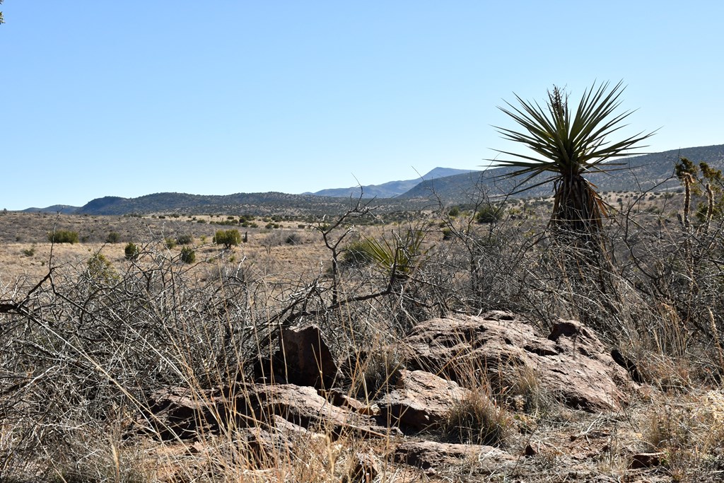 100 High Lonesome, Alpine, Texas image 6