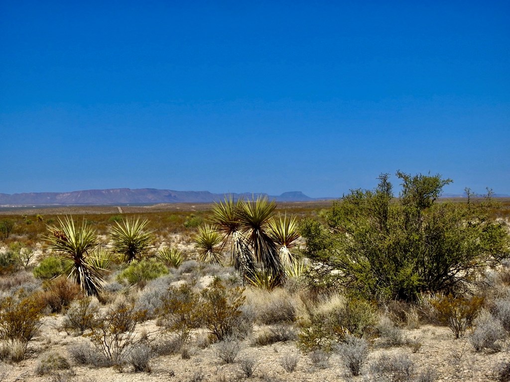 4160 Cheosa Trail, Terlingua, Texas image 24