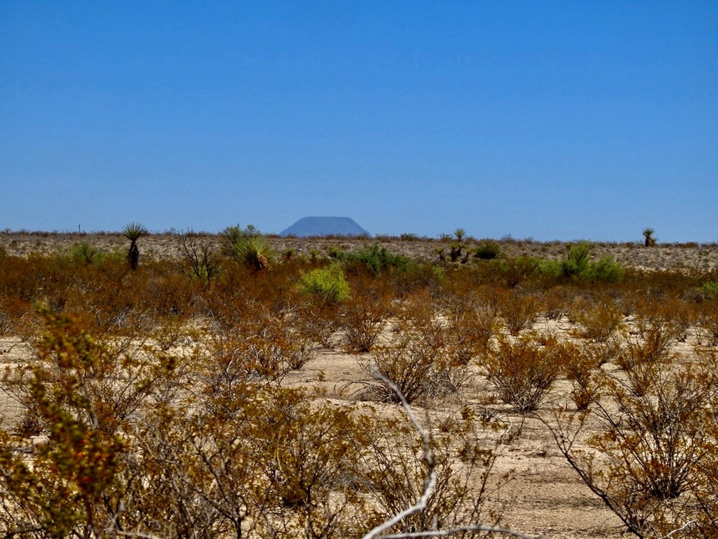 4160 Cheosa Trail, Terlingua, Texas image 7