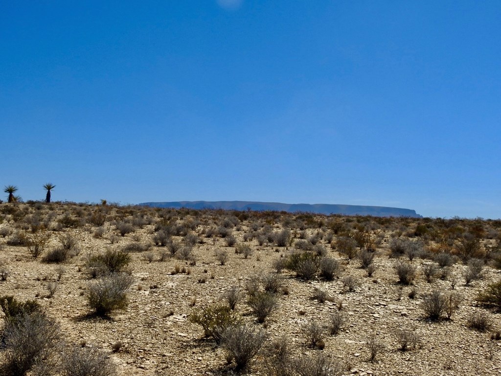 4160 Cheosa Trail, Terlingua, Texas image 20