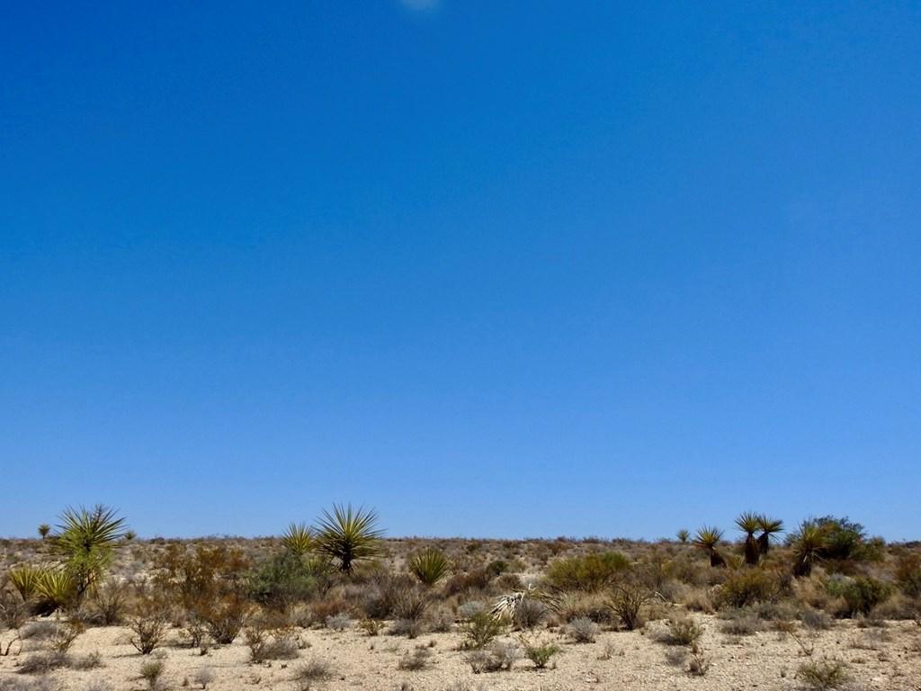 4160 Cheosa Trail, Terlingua, Texas image 21