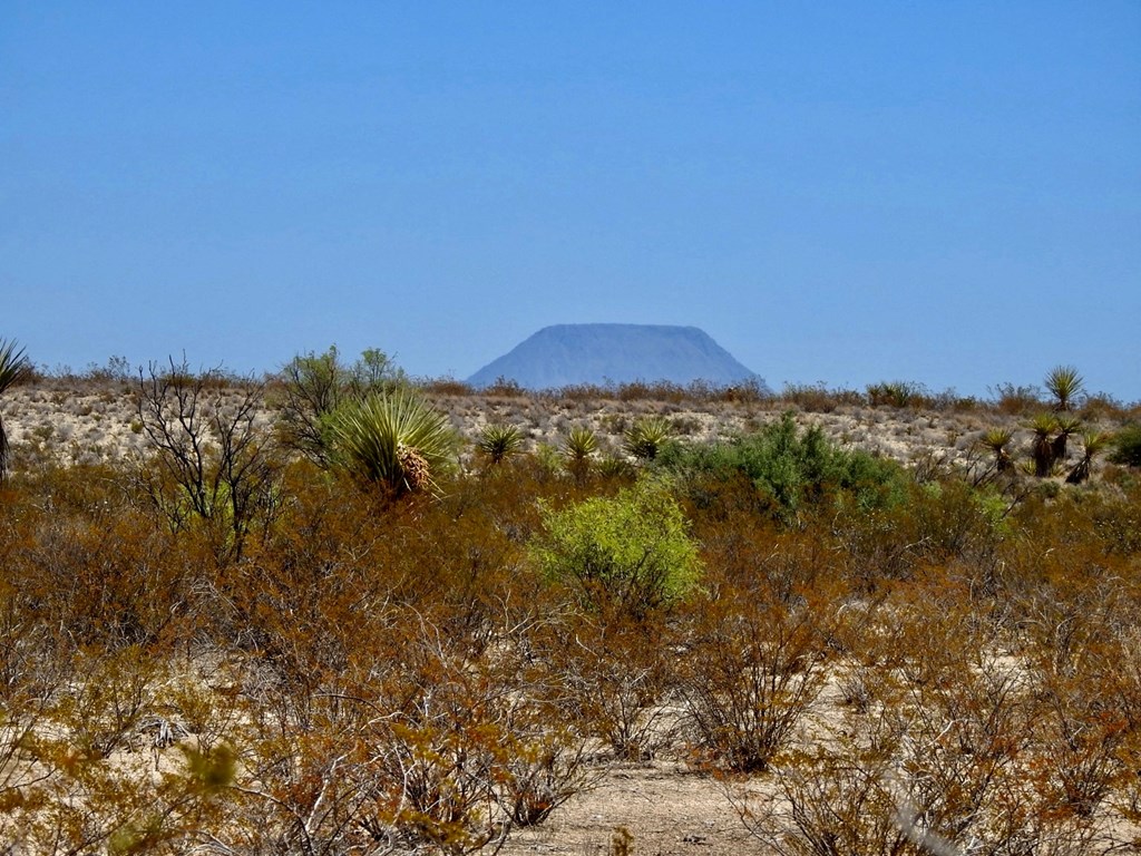 4160 Cheosa Trail, Terlingua, Texas image 6