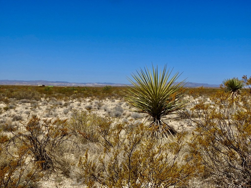 4160 Cheosa Trail, Terlingua, Texas image 29