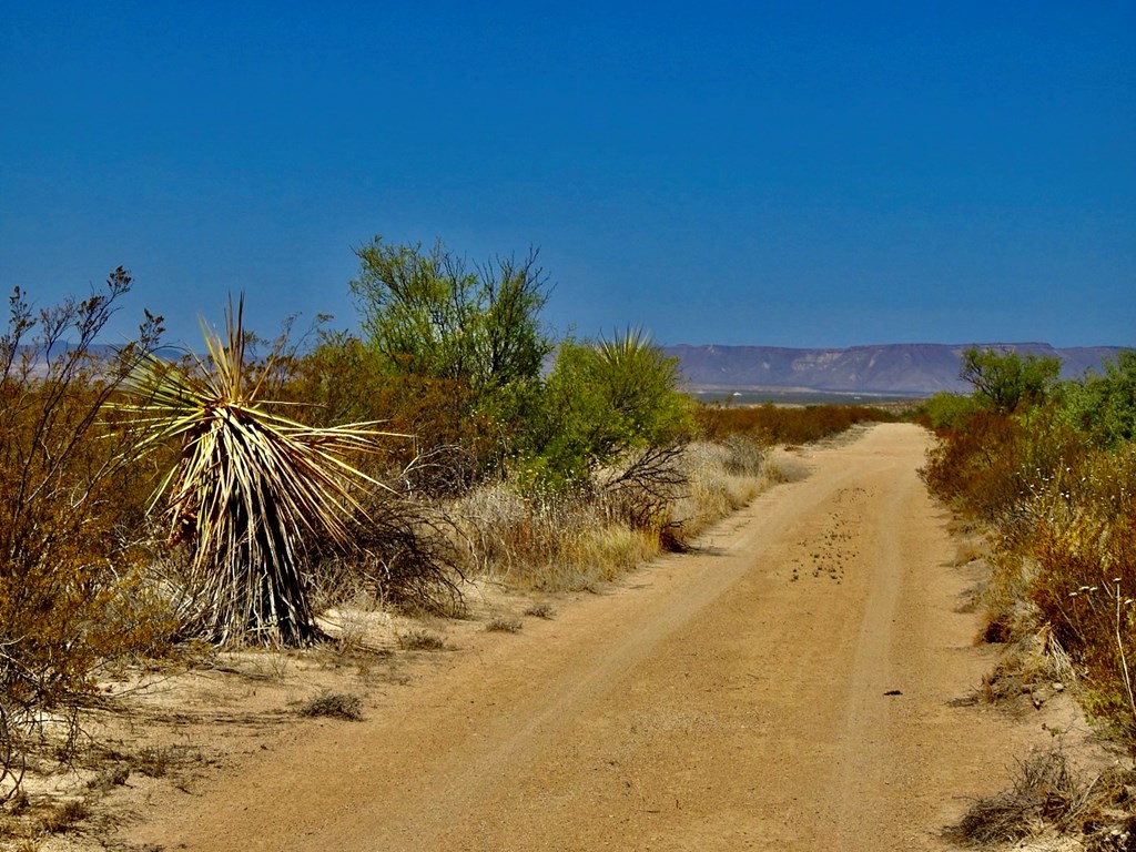 4160 Cheosa Trail, Terlingua, Texas image 27