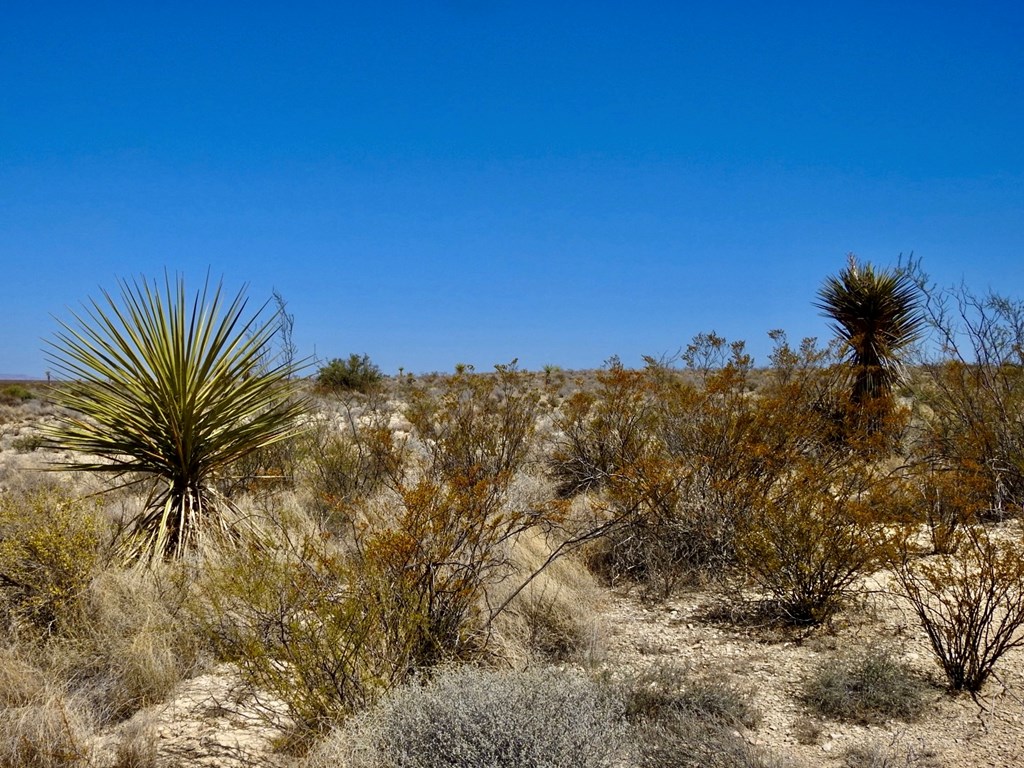 4160 Cheosa Trail, Terlingua, Texas image 26