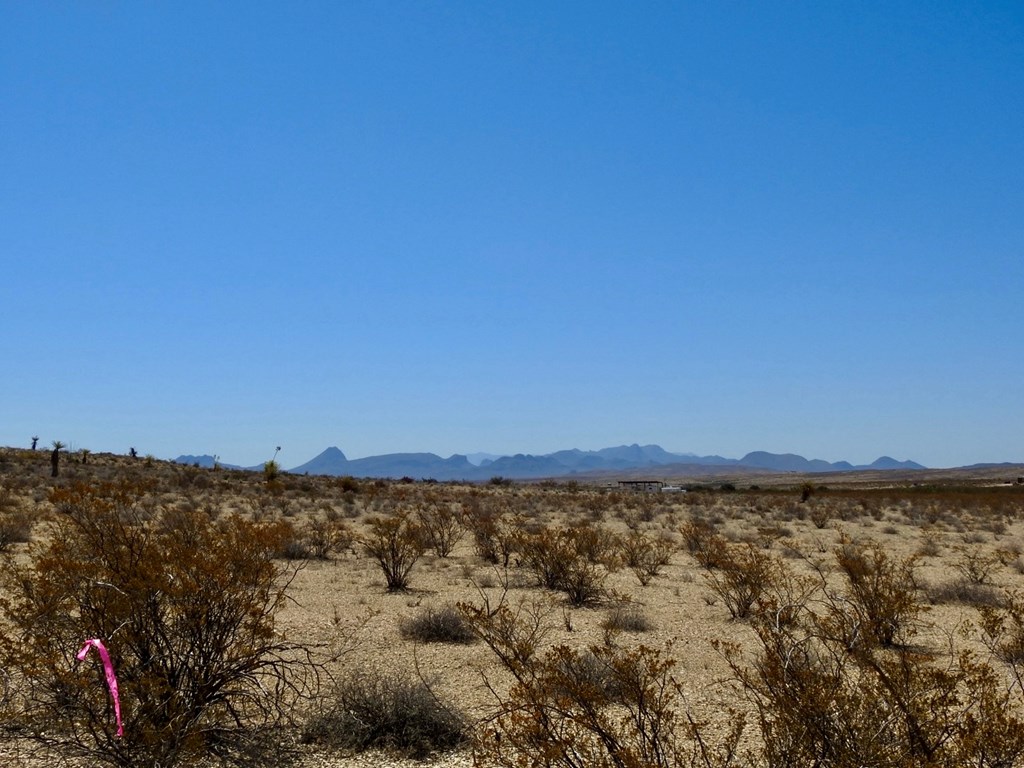 4160 Cheosa Trail, Terlingua, Texas image 30