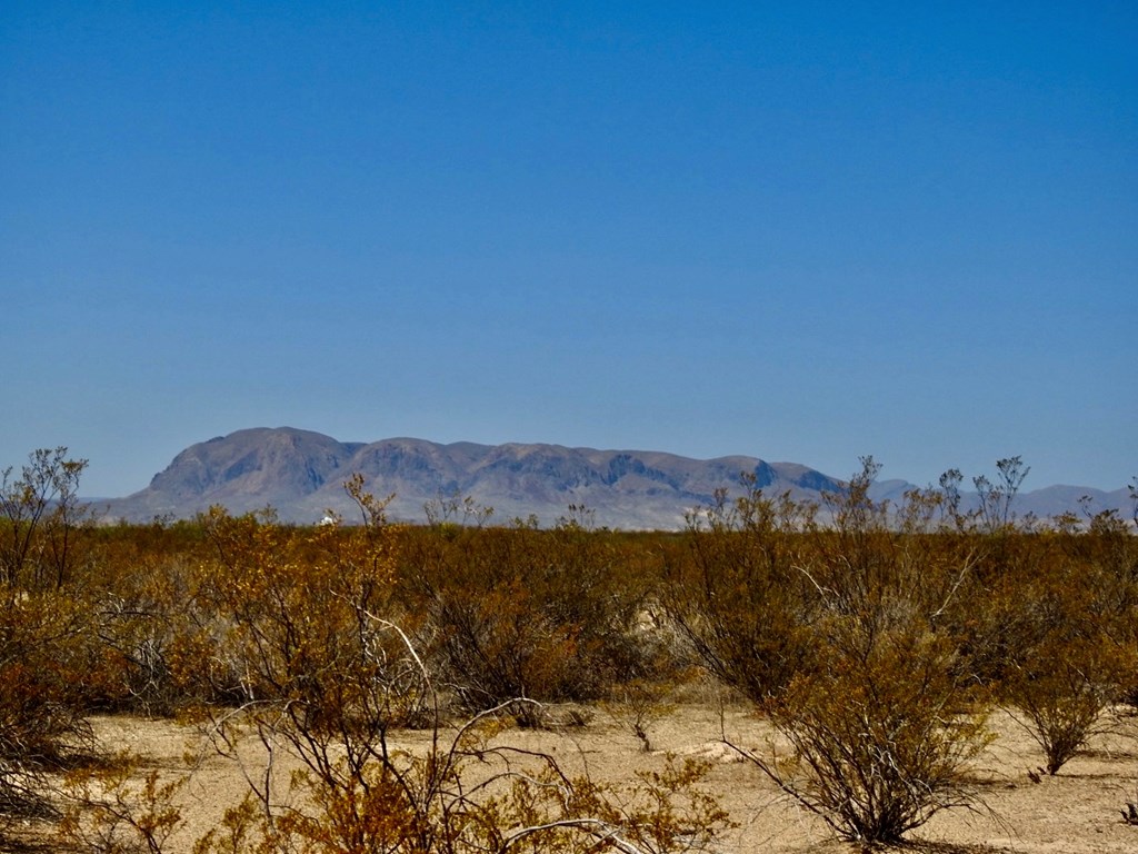 4160 Cheosa Trail, Terlingua, Texas image 10