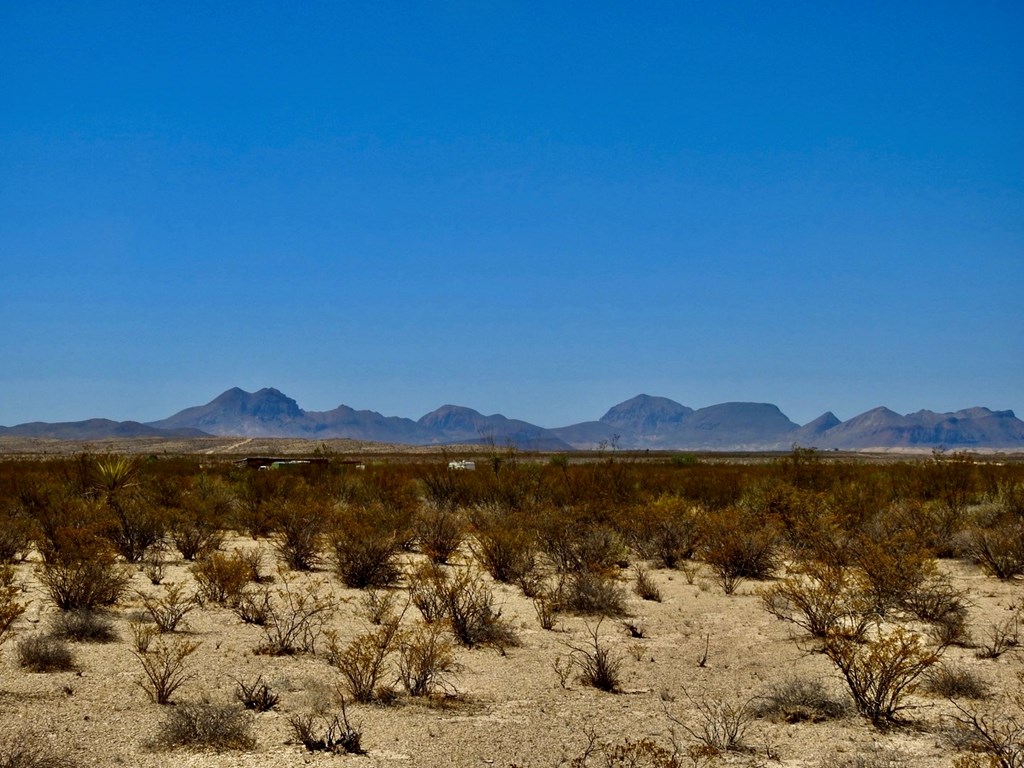 4160 Cheosa Trail, Terlingua, Texas image 14