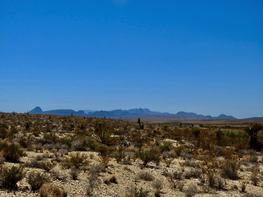 4160 Cheosa Trail, Terlingua, Texas image 17