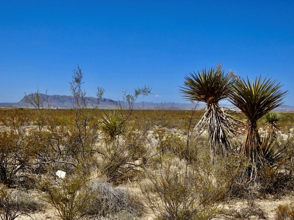 4160 Cheosa Trail, Terlingua, Texas image 1