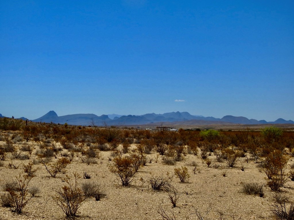 4160 Cheosa Trail, Terlingua, Texas image 13