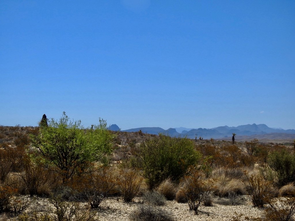 4160 Cheosa Trail, Terlingua, Texas image 32