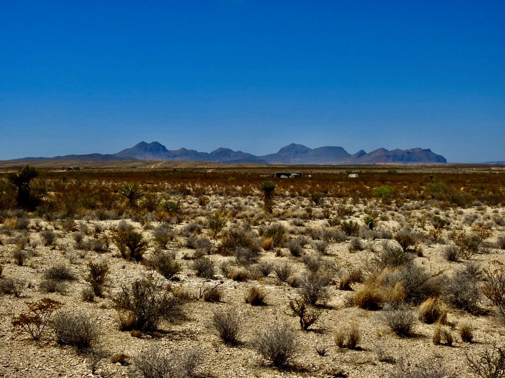 4160 Cheosa Trail, Terlingua, Texas image 16