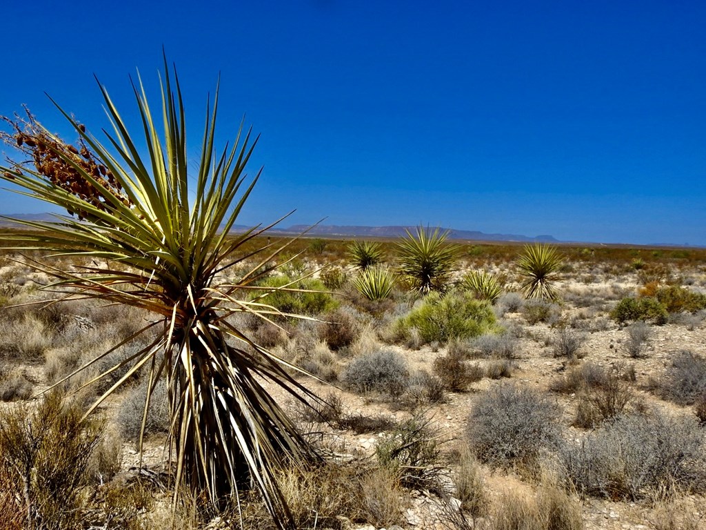 4160 Cheosa Trail, Terlingua, Texas image 22