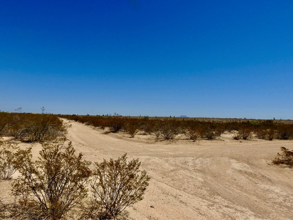 4160 Cheosa Trail, Terlingua, Texas image 28