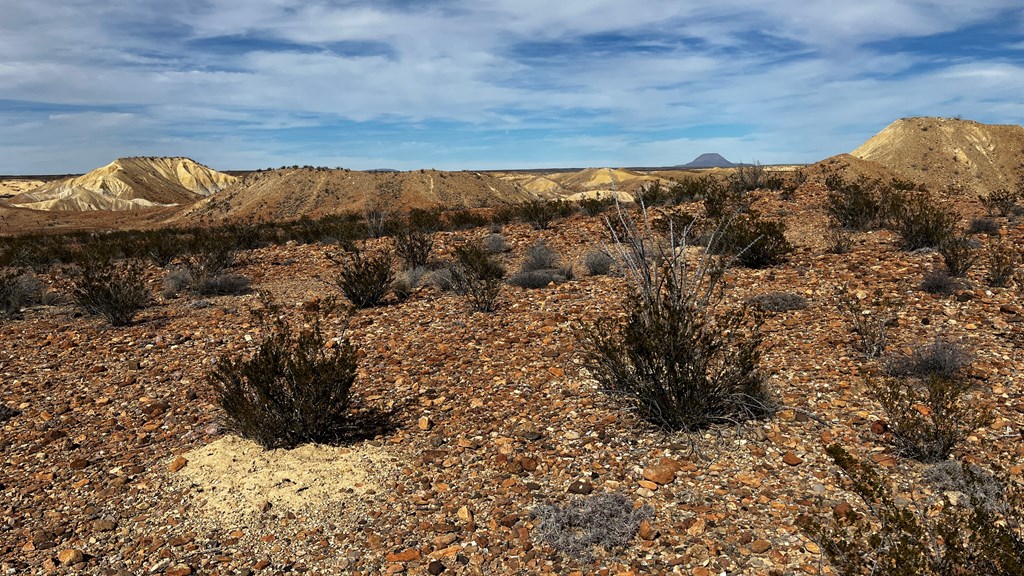 14110 San Angelo, Terlingua, Texas image 12